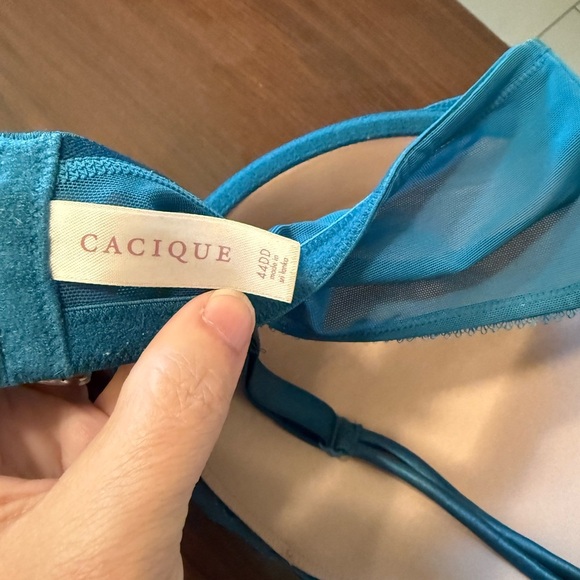 Cacique Teal Ribbon Gold Embroidered Lightly Lined Plunge Underwire Bra Sz 44DD - Picture 4 of 5